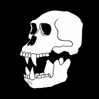 Social Icon 5